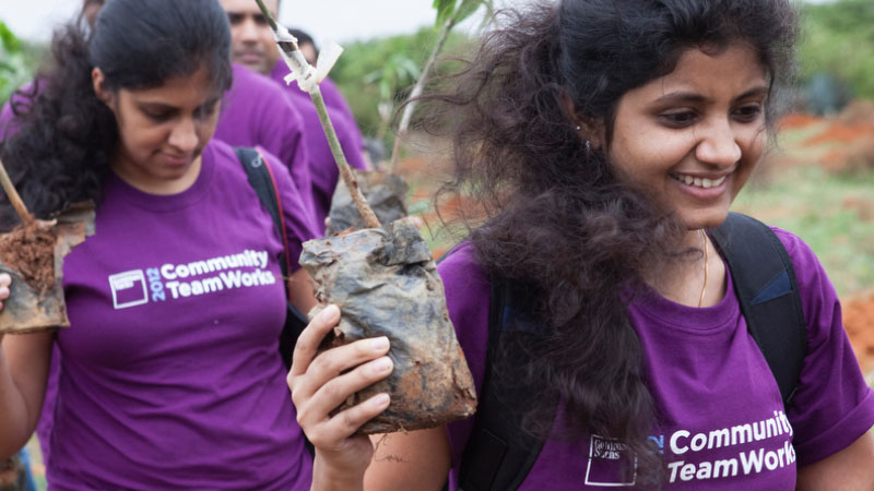 Bangalore: Trees for Free, August 2012